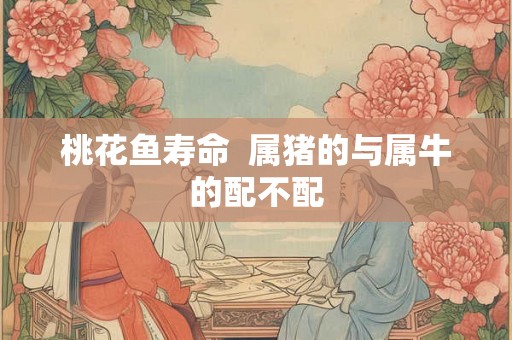 桃花鱼寿命 属猪的与属牛的配不配 桃花鱼寿命 属猪的与属牛的配不配