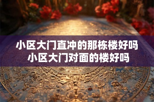 小区大门直冲的那栋楼好吗 小区大门对面的楼好吗