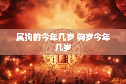 属狗的今年几岁 狗岁今年几岁