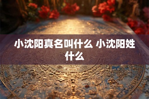 小沈阳真名叫什么 小沈阳姓什么