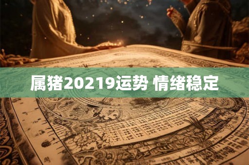 属猪20219运势 情绪稳定