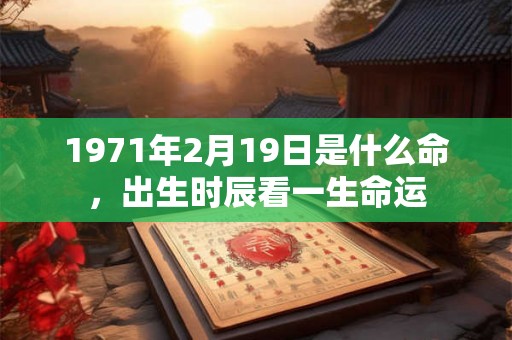 1971年2月19日是什么命,出生时辰看一生命运 1971年2月19日是什么命,出生时辰看一生命运