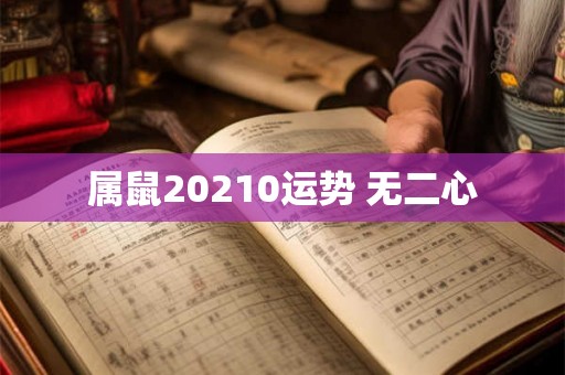 属鼠20210运势 无二心 属鼠20210运势 无二心