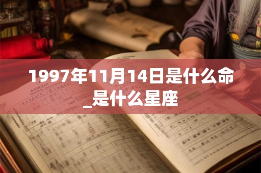 1997年11月14日是什么命_是什么星座