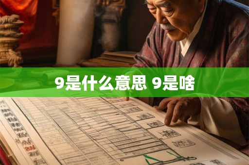 9是什么意思 9是啥
