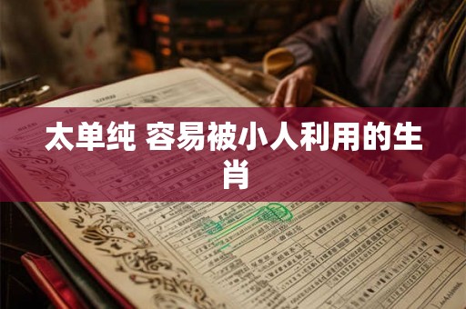 太单纯 容易被小人利用的生肖