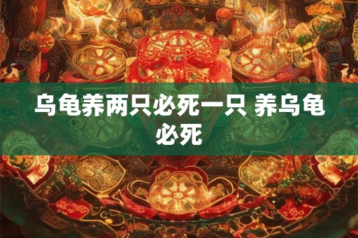 乌龟养两只必死一只 养乌龟必死