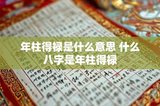 年柱得禄是什么意思 什么八字是年柱得禄
