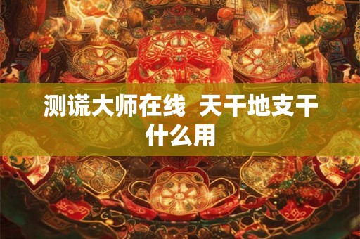 测谎大师在线  天干地支干什么用