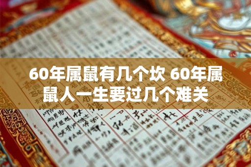 60年属鼠有几个坎 60年属鼠人一生要过几个难关