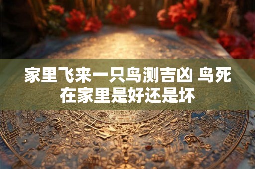 家里飞来一只鸟测吉凶 鸟死在家里是好还是坏