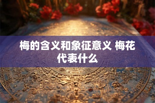 梅的含义和象征意义 梅花代表什么