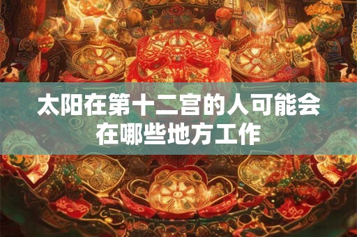 太阳在第十二宫的人可能会在哪些地方工作