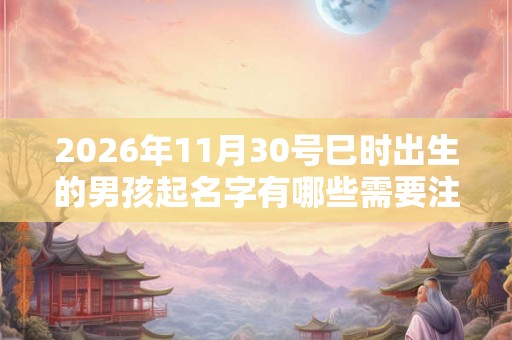 2026年11月30号巳时出生的男孩起名字有哪些需要注意的