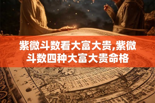 紫微斗数看大富大贵,紫微斗数四种大富大贵命格