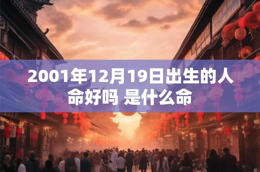 2001年12月19日出生的人命好吗 是什么命