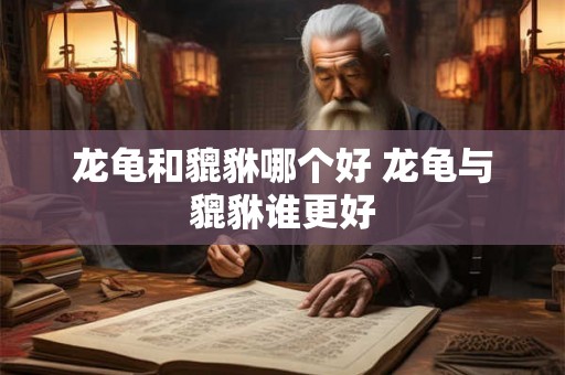 龙龟和貔貅哪个好 龙龟与貔貅谁更好