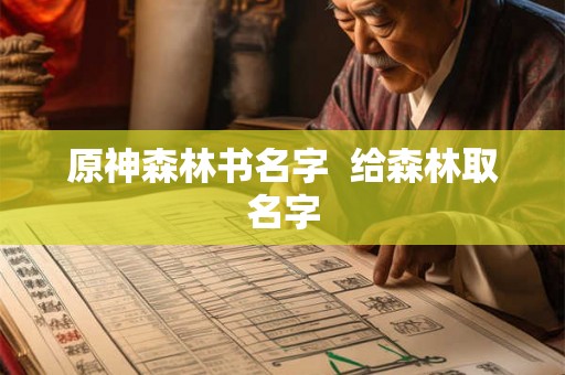 原神森林书名字  给森林取名字