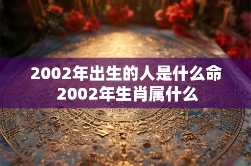 2002年出生的人是什么命 2002年生肖属什么 2002年出生的人是什么命 2002年生肖属什么