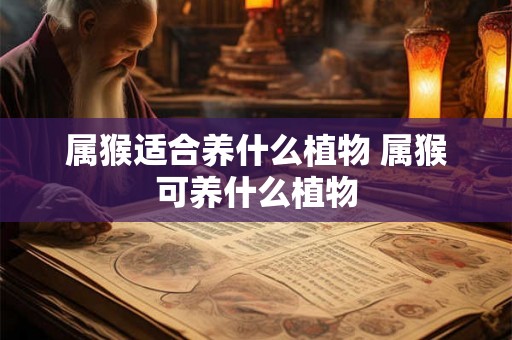属猴适合养什么植物 属猴可养什么植物