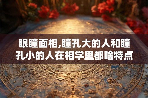 眼瞳面相,瞳孔大的人和瞳孔小的人在相学里都啥特点? 眼瞳面相,瞳孔大的人和瞳孔小的人在相学里都啥特点?