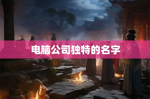 电脑公司独特的名字