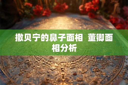 撒贝宁的鼻子面相  董卿面相分析