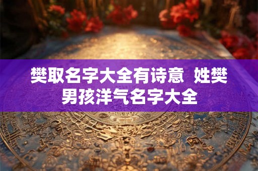 樊取名字大全有诗意  姓樊男孩洋气名字大全