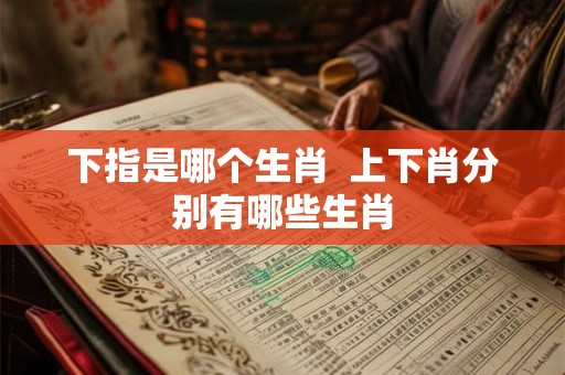 下指是哪个生肖  上下肖分别有哪些生肖