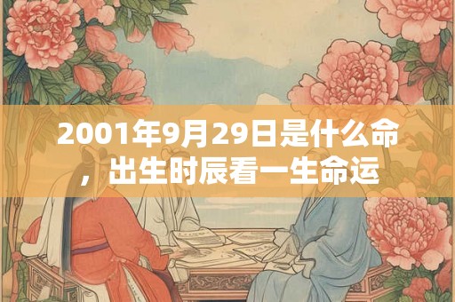 2001年9月29日是什么命，出生时辰看一生命运