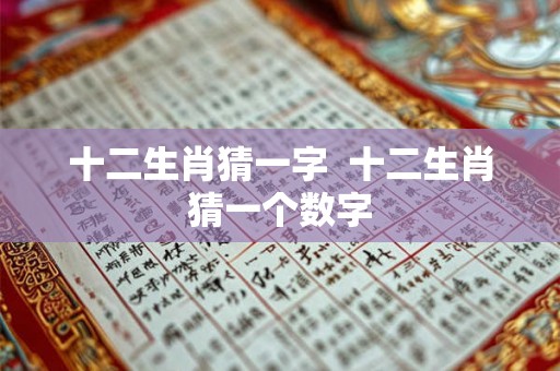 十二生肖猜一字  十二生肖猜一个数字