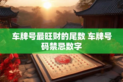 车牌号最旺财的尾数 车牌号码禁忌数字