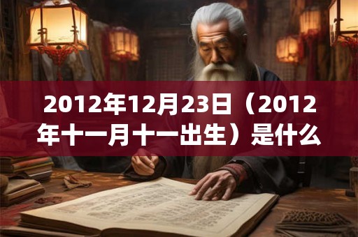 2012年12月23日（2012年十一月十一出生）是什么命_命运如何
