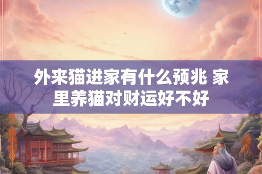 外来猫进家有什么预兆 家里养猫对财运好不好