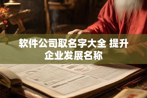 软件公司取名字大全 提升企业发展名称