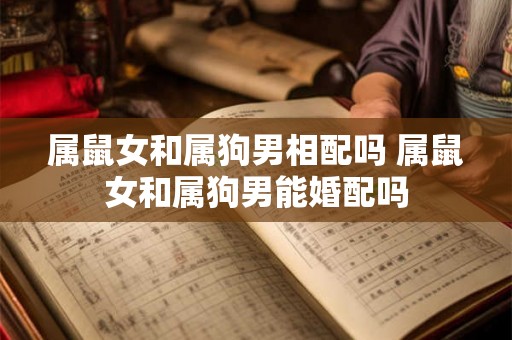 属鼠女和属狗男相配吗 属鼠女和属狗男能婚配吗 属鼠女和属狗男相配吗 属鼠女和属狗男能婚配吗