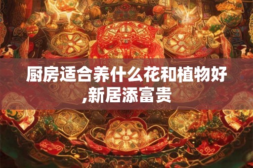 厨房适合养什么花和植物好,新居添富贵