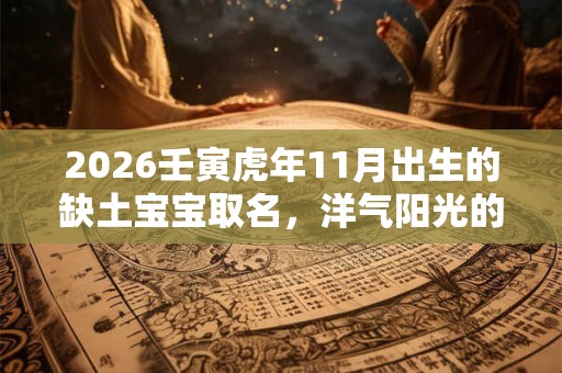2026壬寅虎年11月出生的缺土宝宝取名，洋气阳光的名字