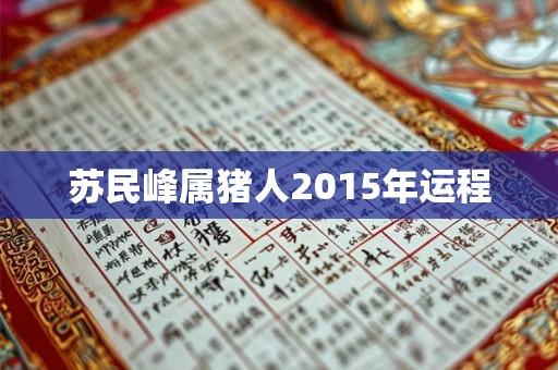 苏民峰属猪人2015年运程 苏民峰属猪人2015年运程