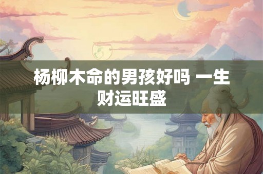 杨柳木命的男孩好吗 一生财运旺盛 杨柳木命的男孩好吗 一生财运旺盛