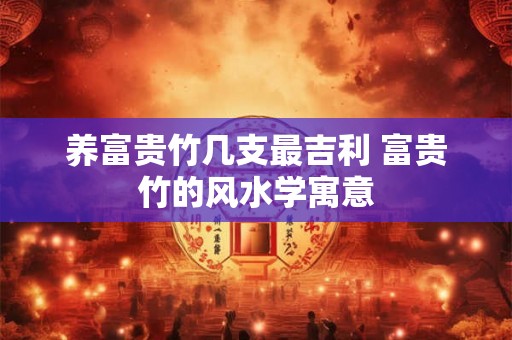 养富贵竹几支最吉利 富贵竹的风水学寓意 养富贵竹几支最吉利 富贵竹的风水学寓意