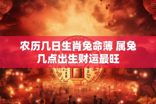 农历几日生肖兔命薄 属兔几点出生财运最旺