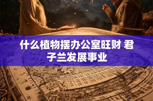 什么植物摆办公室旺财 君子兰发展事业