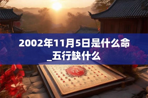 2002年11月5日是什么命_五行缺什么