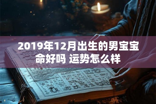 2019年12月出生的男宝宝命好吗 运势怎么样