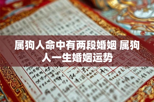 属狗人命中有两段婚姻 属狗人一生婚姻运势