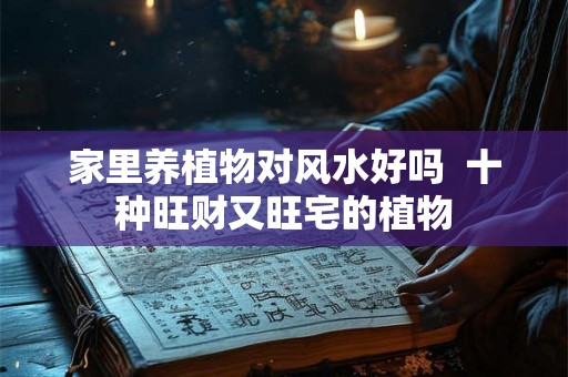 家里养植物对风水好吗 十种旺财又旺宅的植物 家里养植物对风水好吗 十种旺财又旺宅的植物