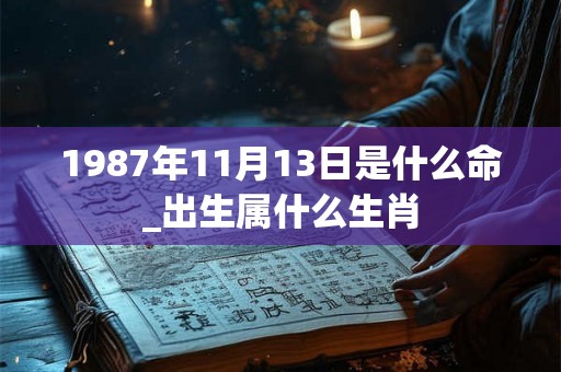 1987年11月13日是什么命_出生属什么生肖