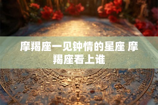 摩羯座一见钟情的星座 摩羯座看上谁