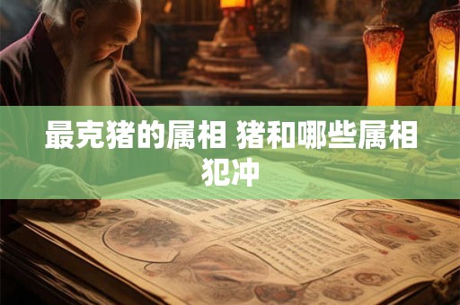 最克猪的属相 猪和哪些属相犯冲
